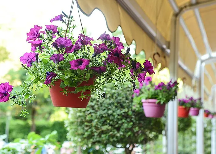 Ξενοδοχείο Terminus